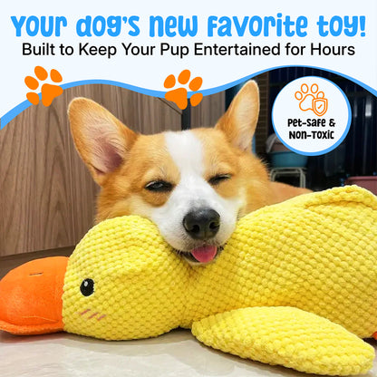 Durable Duck | The Anxiety-Relief Toy Dogs Can’t Destroy Green circle with a white check mark in the center Tire Out High-Energy Dogs, Indoo